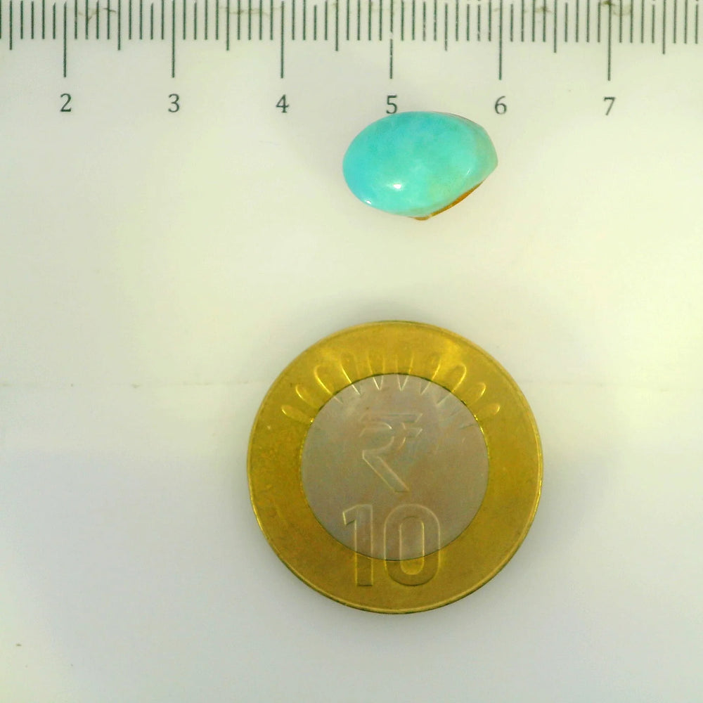 ITLGR_107269_SCALE.webp