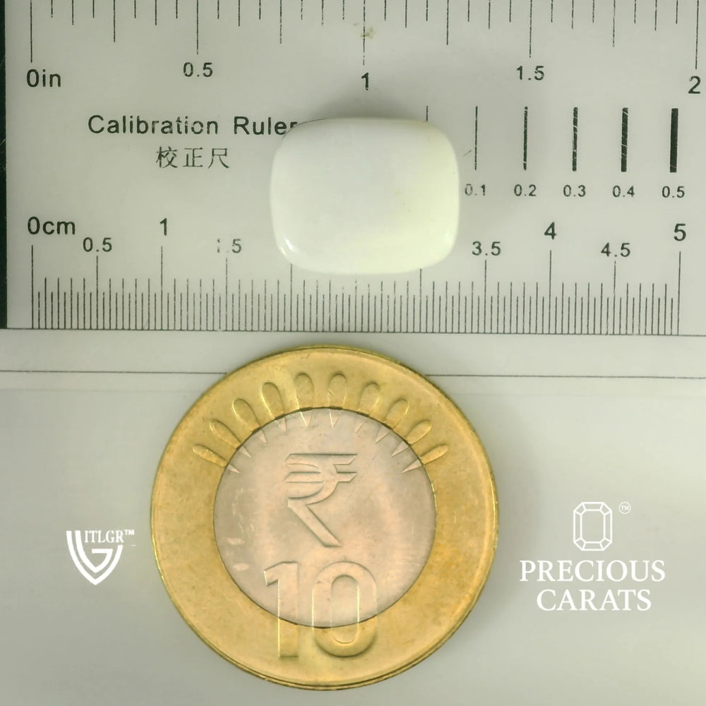 ITLGR_101895_SCALE.webp