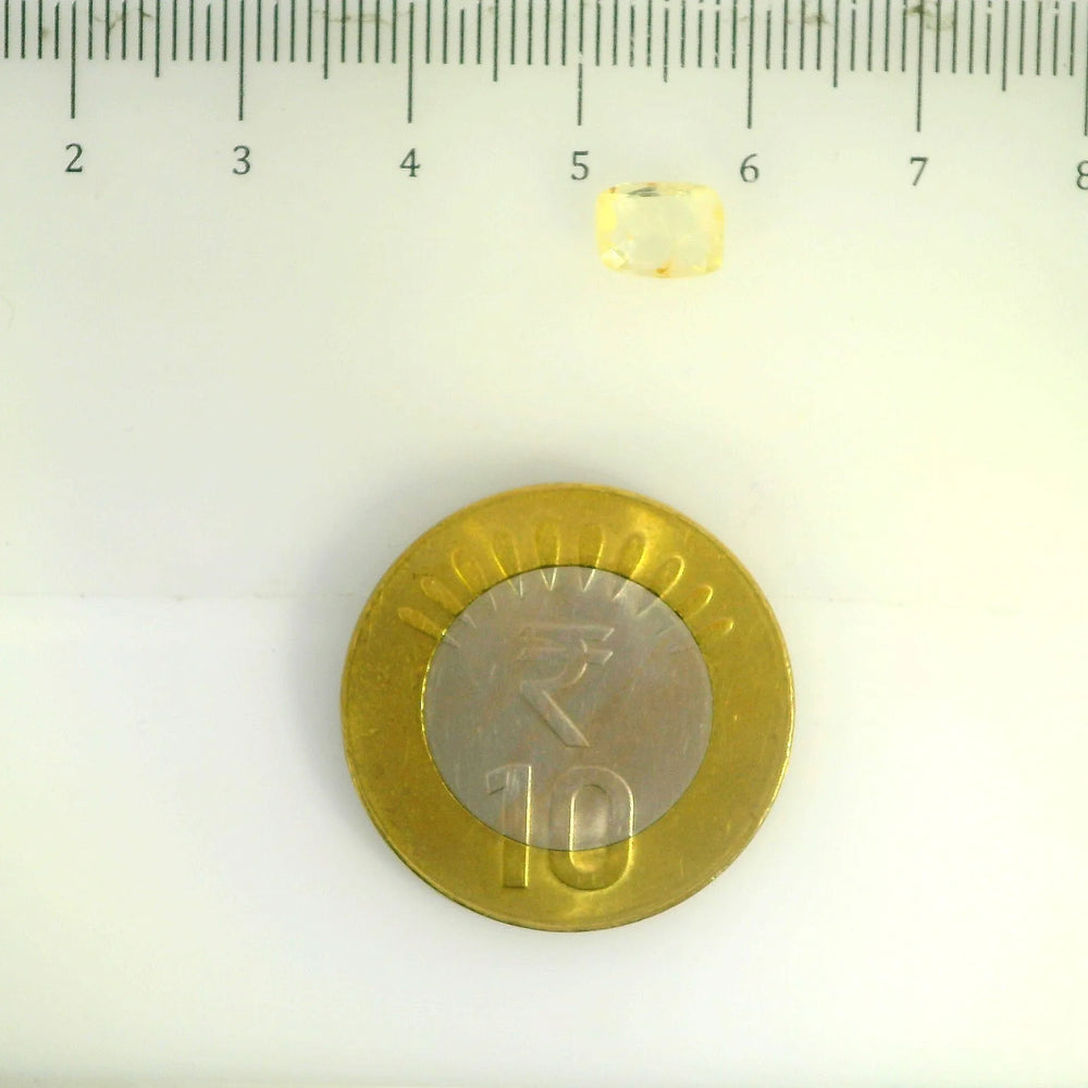 ITLGR_104993_SCALE.webp