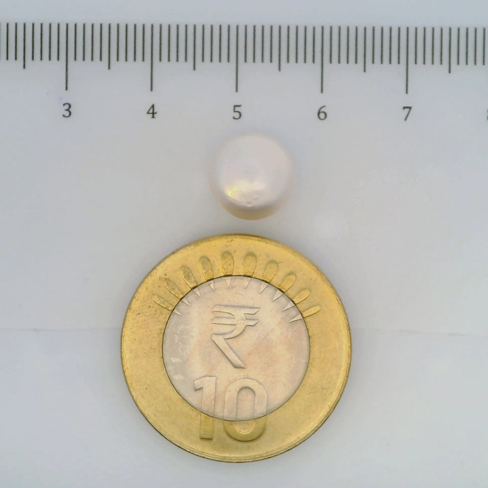 ITLGR_106960_SCALE.webp