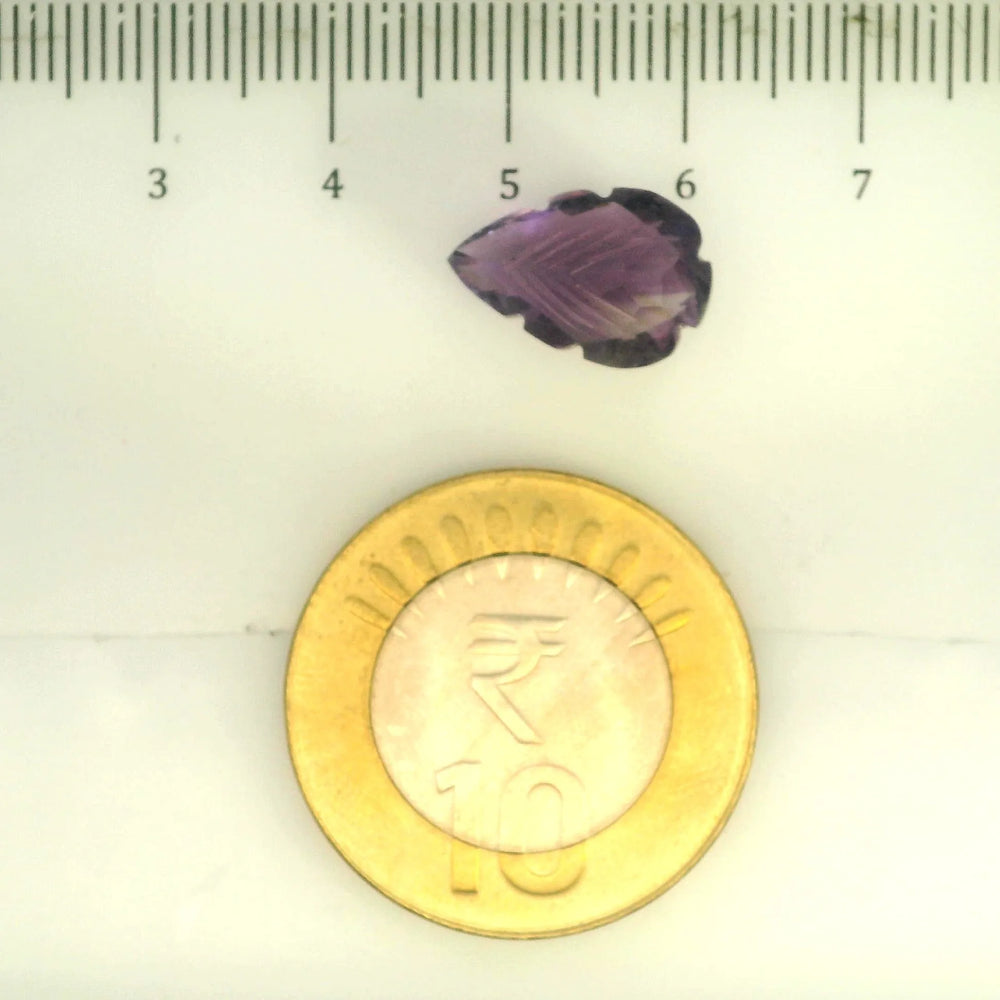 ITLGR_109460_SCALE.webp