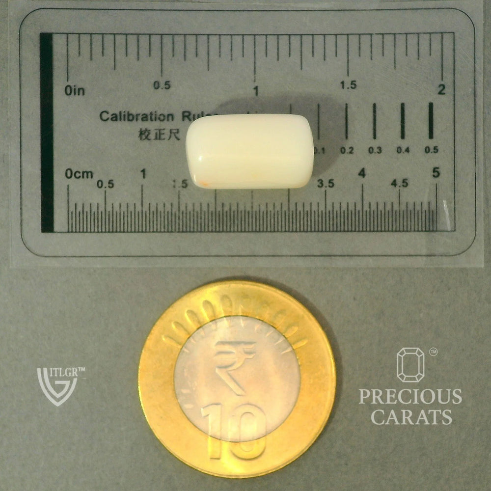 ITLGR_102025_SCALE.webp