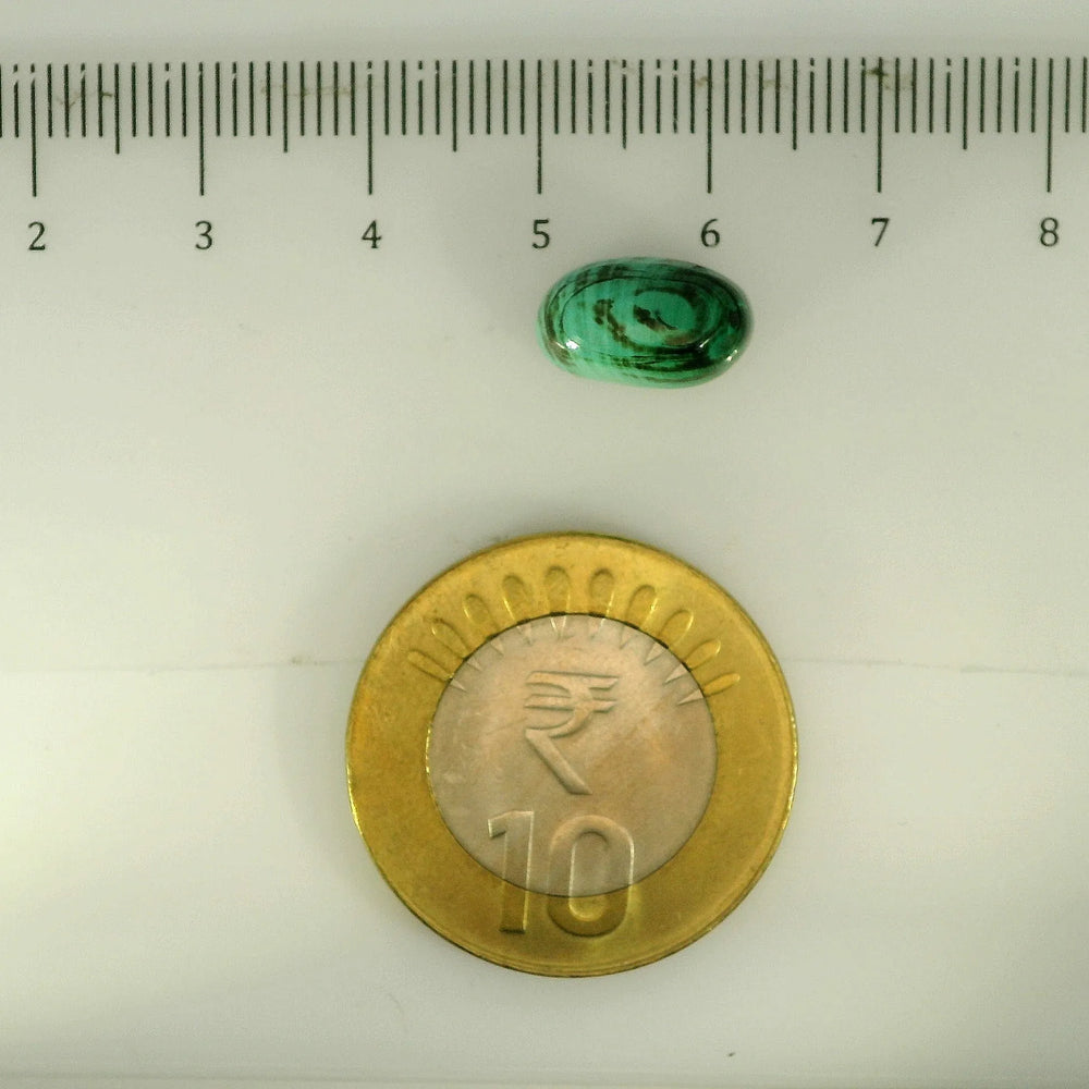 ITLGR_113227_SCALE.webp