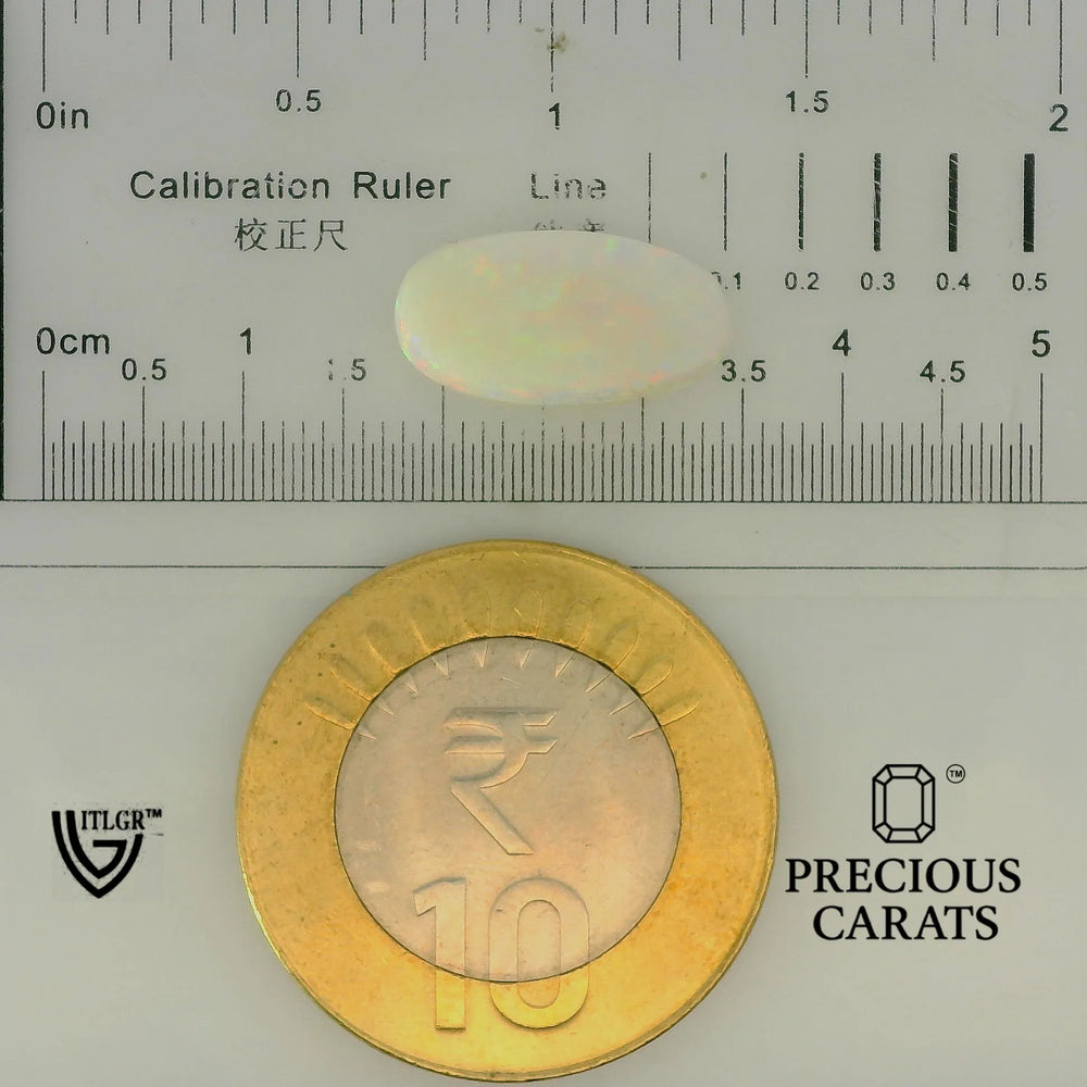 ITLGR_101969_SCALE.webp