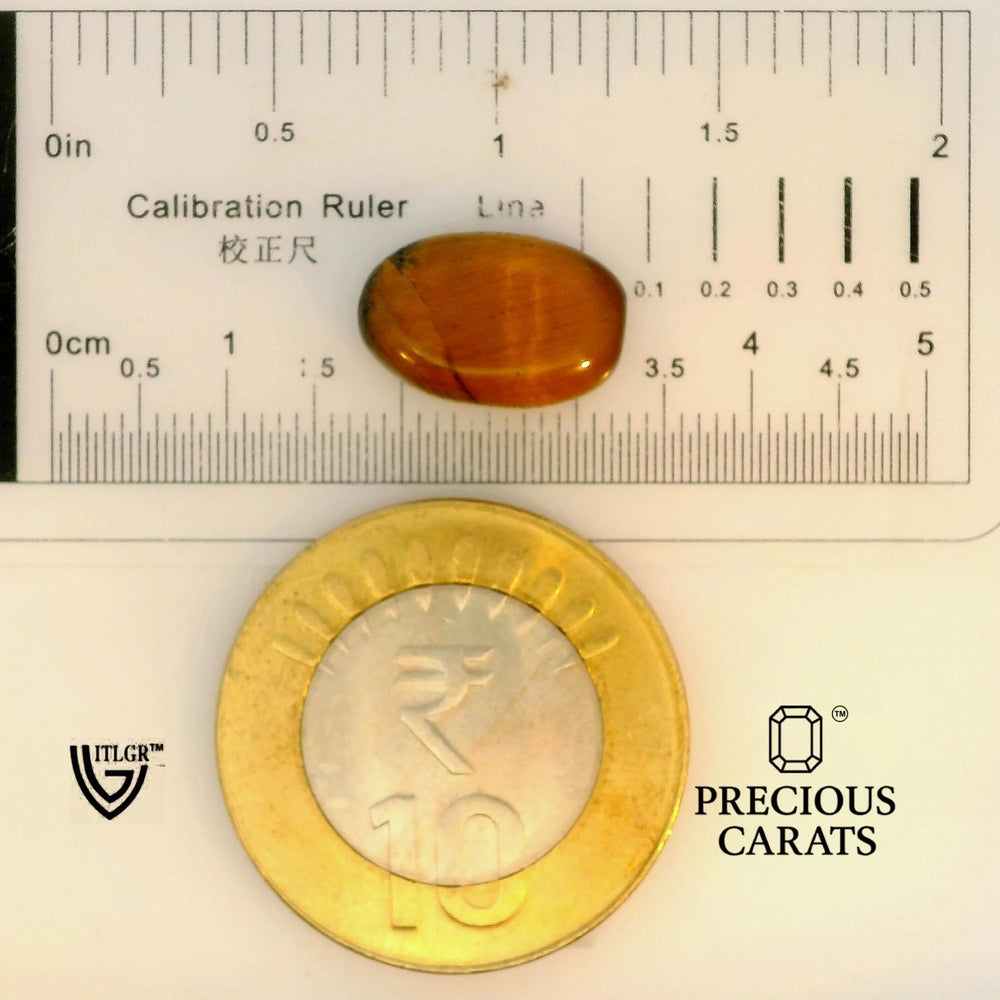 ITLGR_104468_SCALE.webp