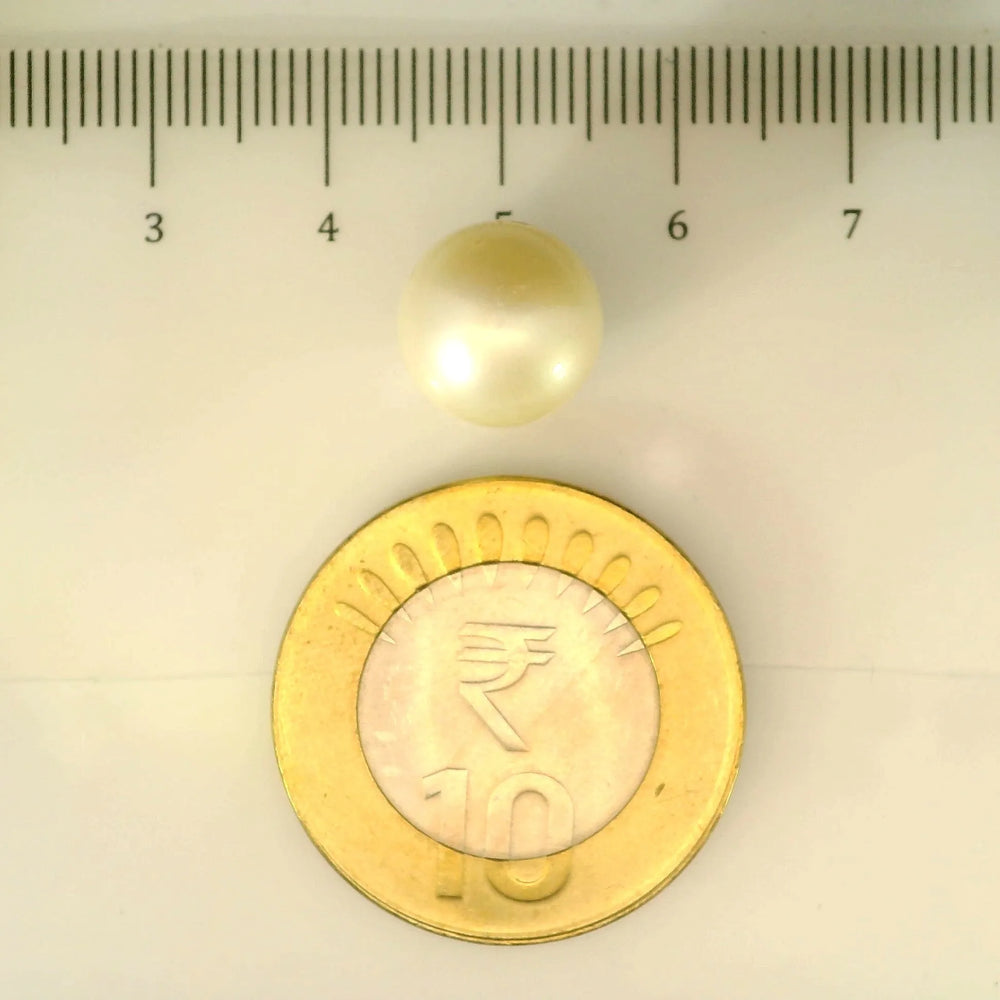 ITLGR_106922_SCALE.webp