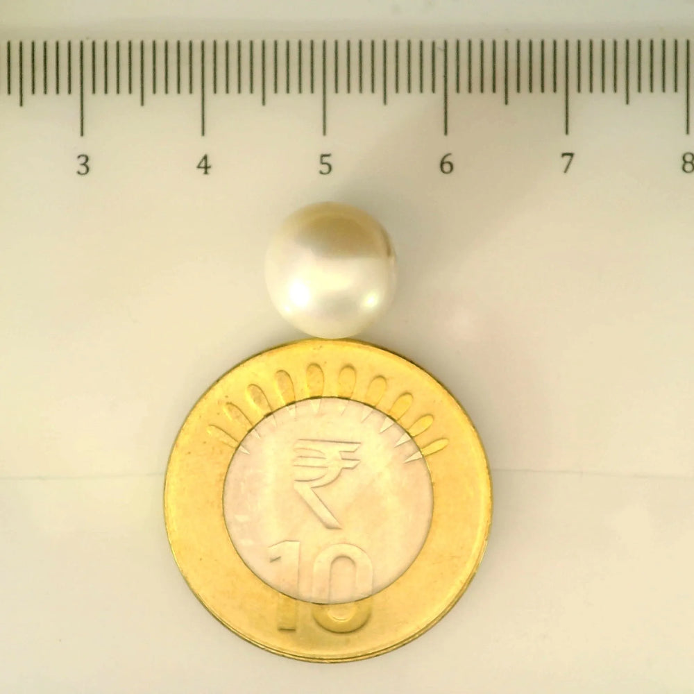 ITLGR_107000_SCALE.webp