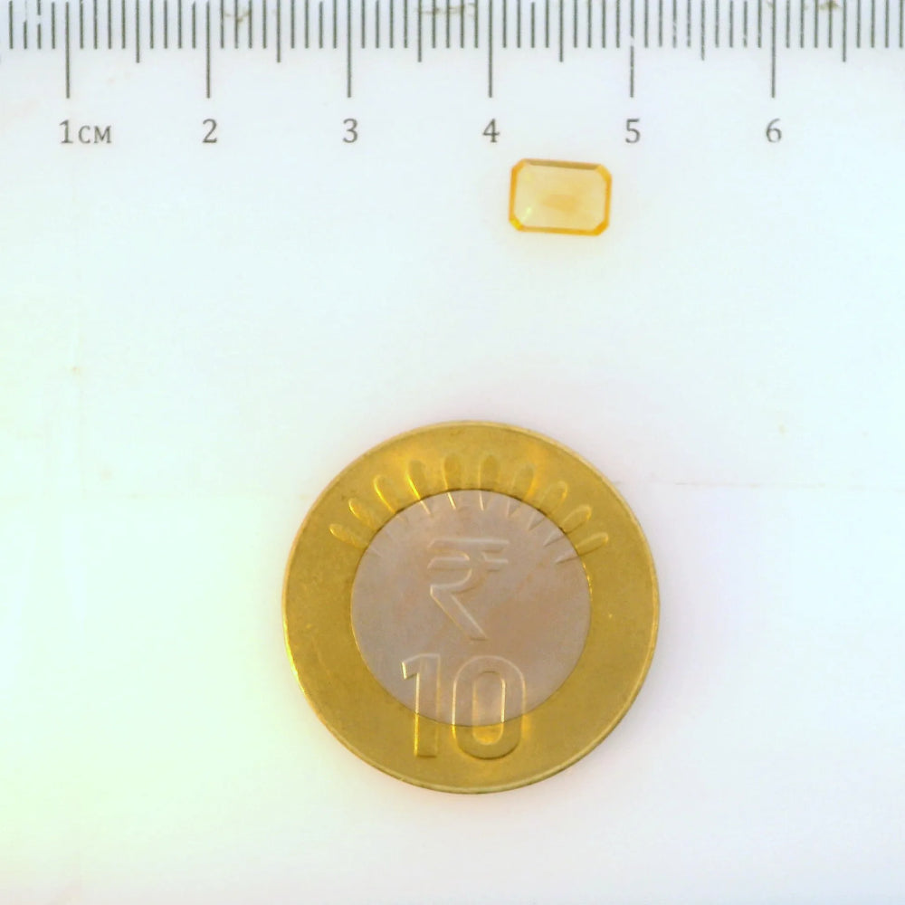 ITLGR_113343_SCALE.webp