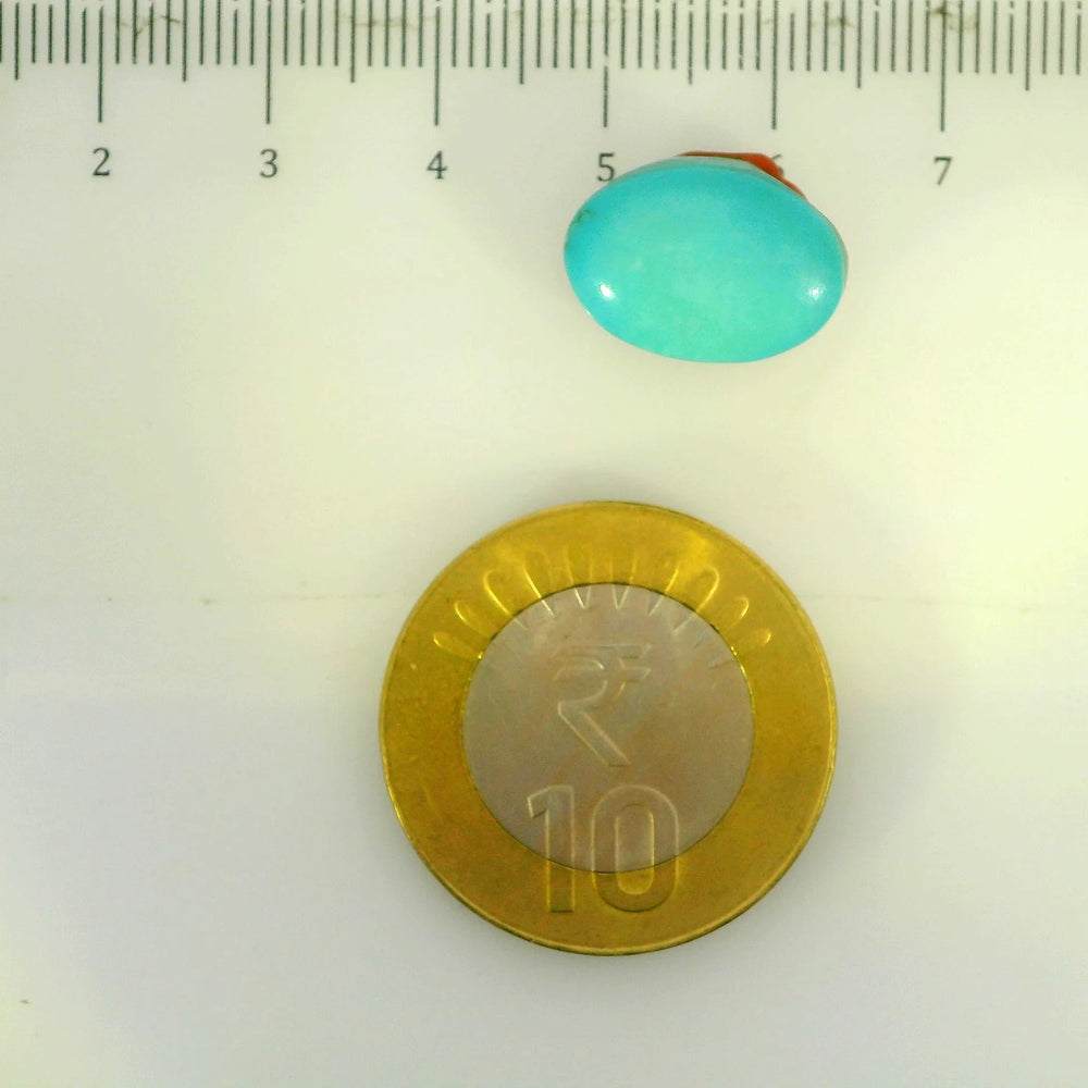ITLGR_107257_SCALE.webp