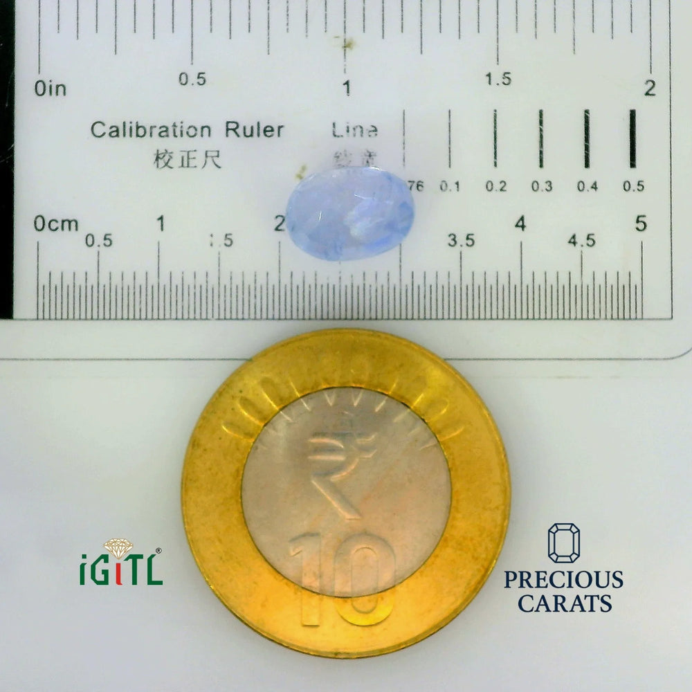 IGITL_197776_SCALE.webp