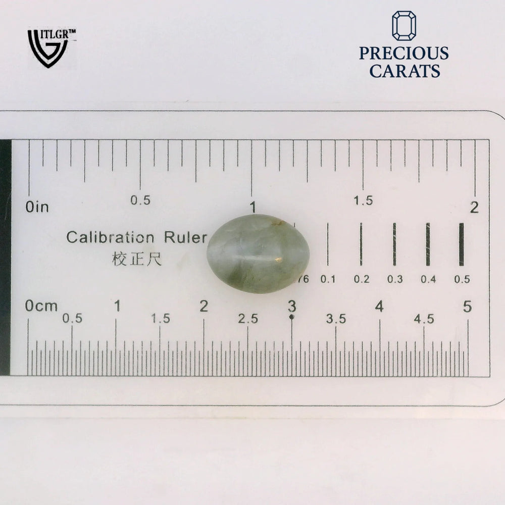 ITLGR_100495_SCALE.webp