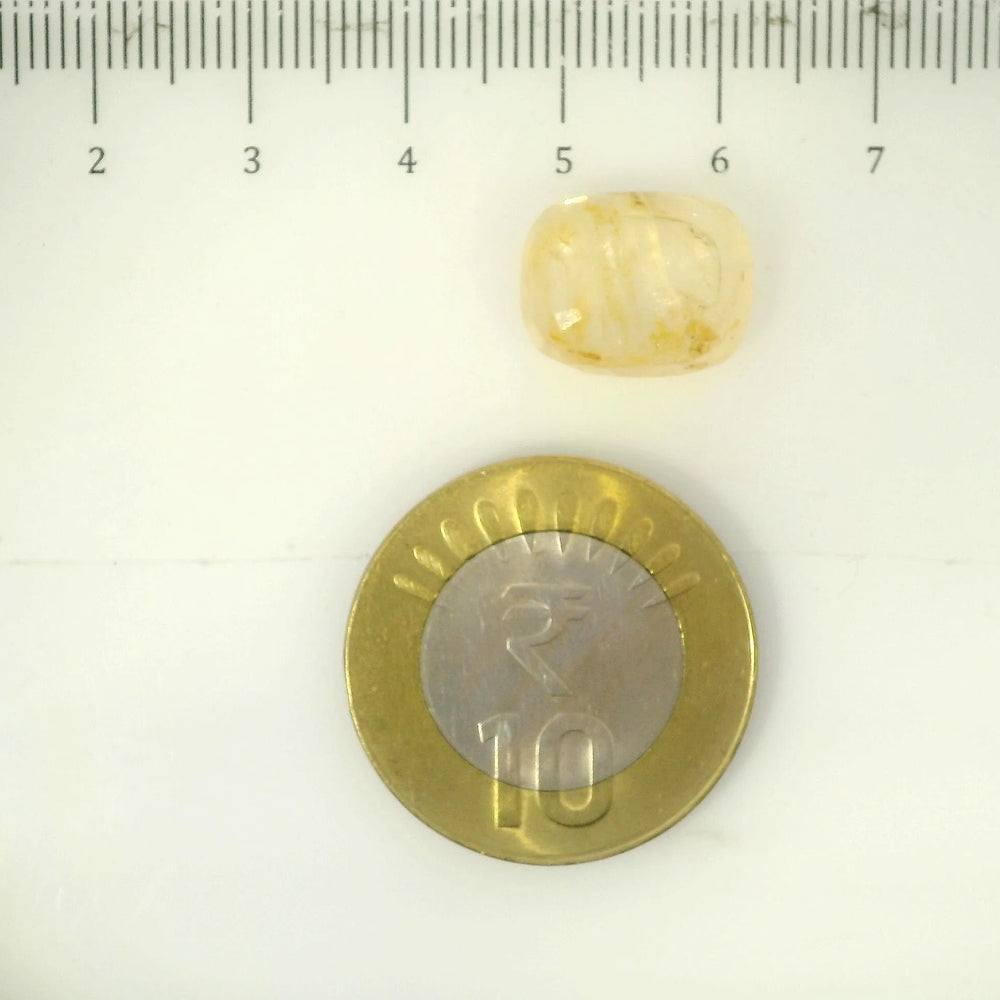 IGITL_205612_SCALE.webp