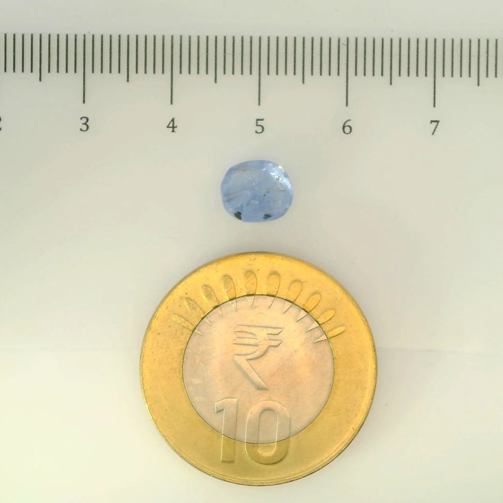 IGITL_200242_SCALE.webp