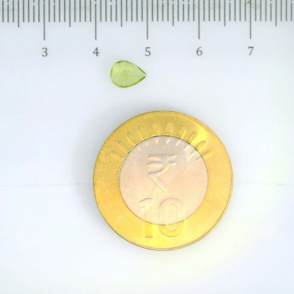 ITLGR_109384_SCALE.webp