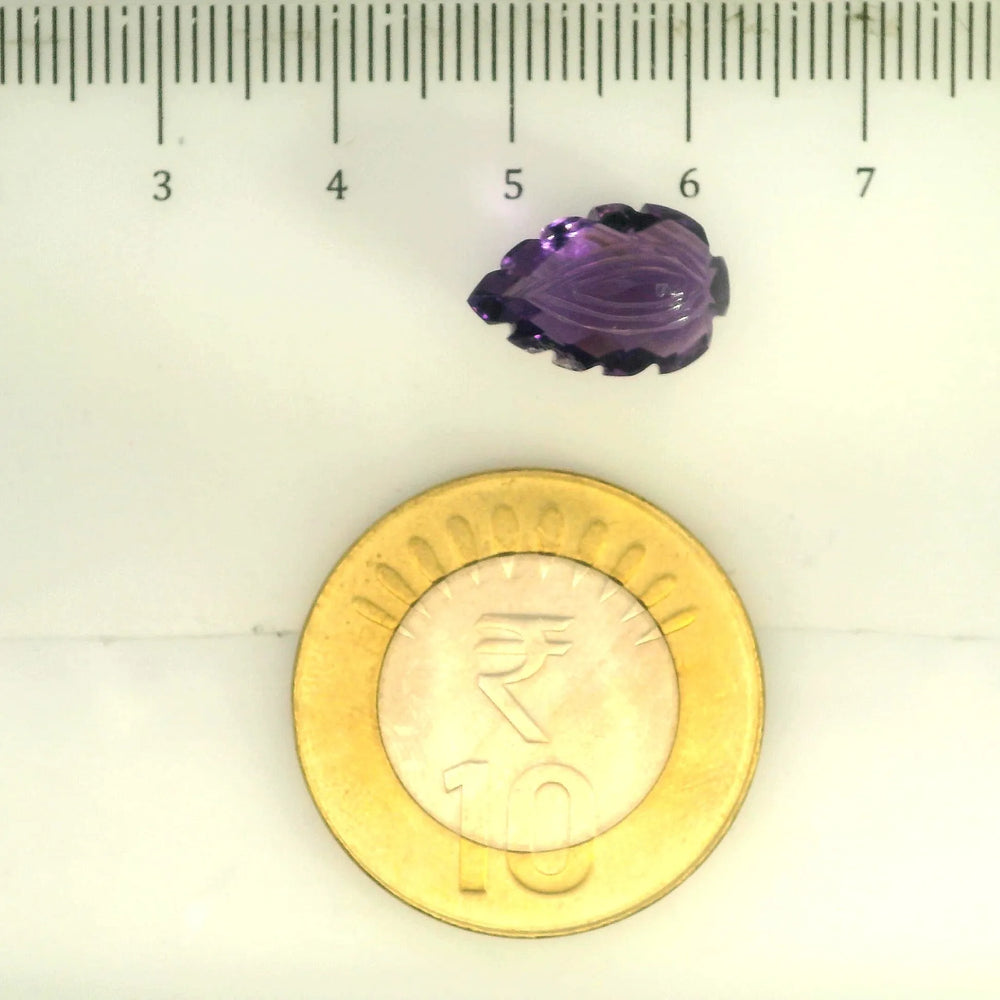 ITLGR_109464_SCALE.webp