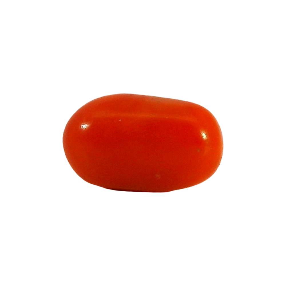 ITLGR_104534_FRONT.png