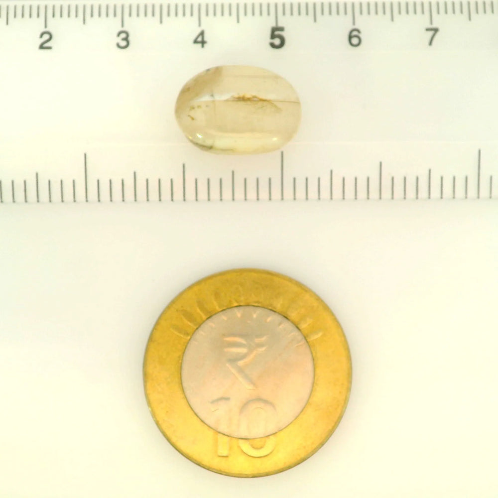 ITLGR_121461_SCALE.webp