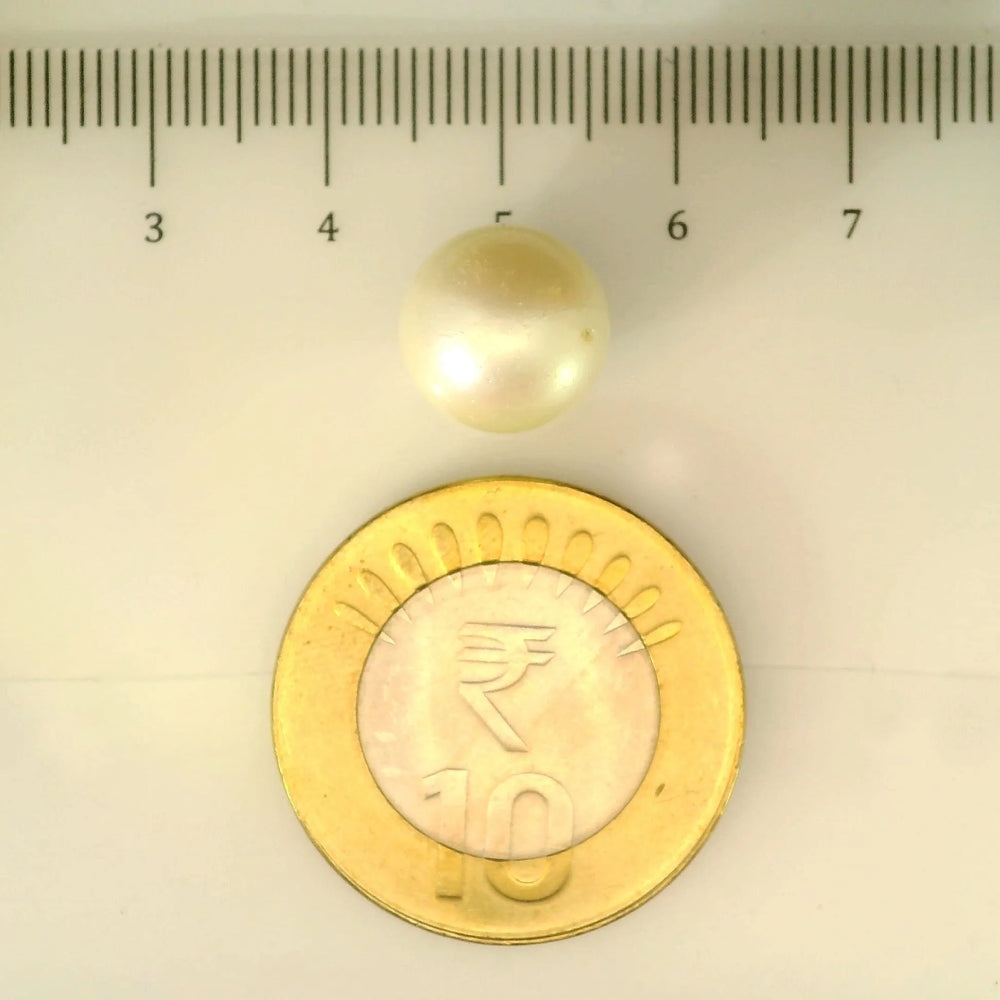 ITLGR_106901_SCALE.webp