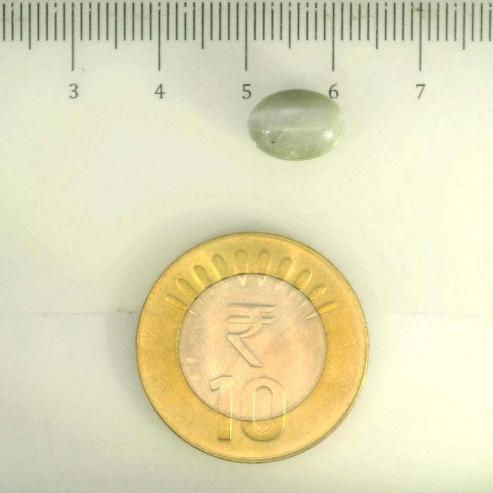 ITLGR_109801_SCALE.webp