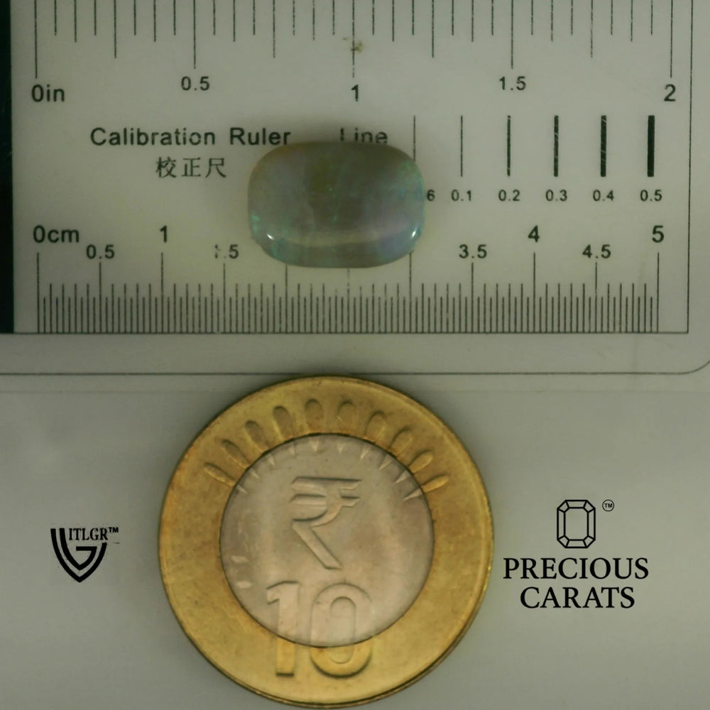 ITLGR_101954_SCALE.webp