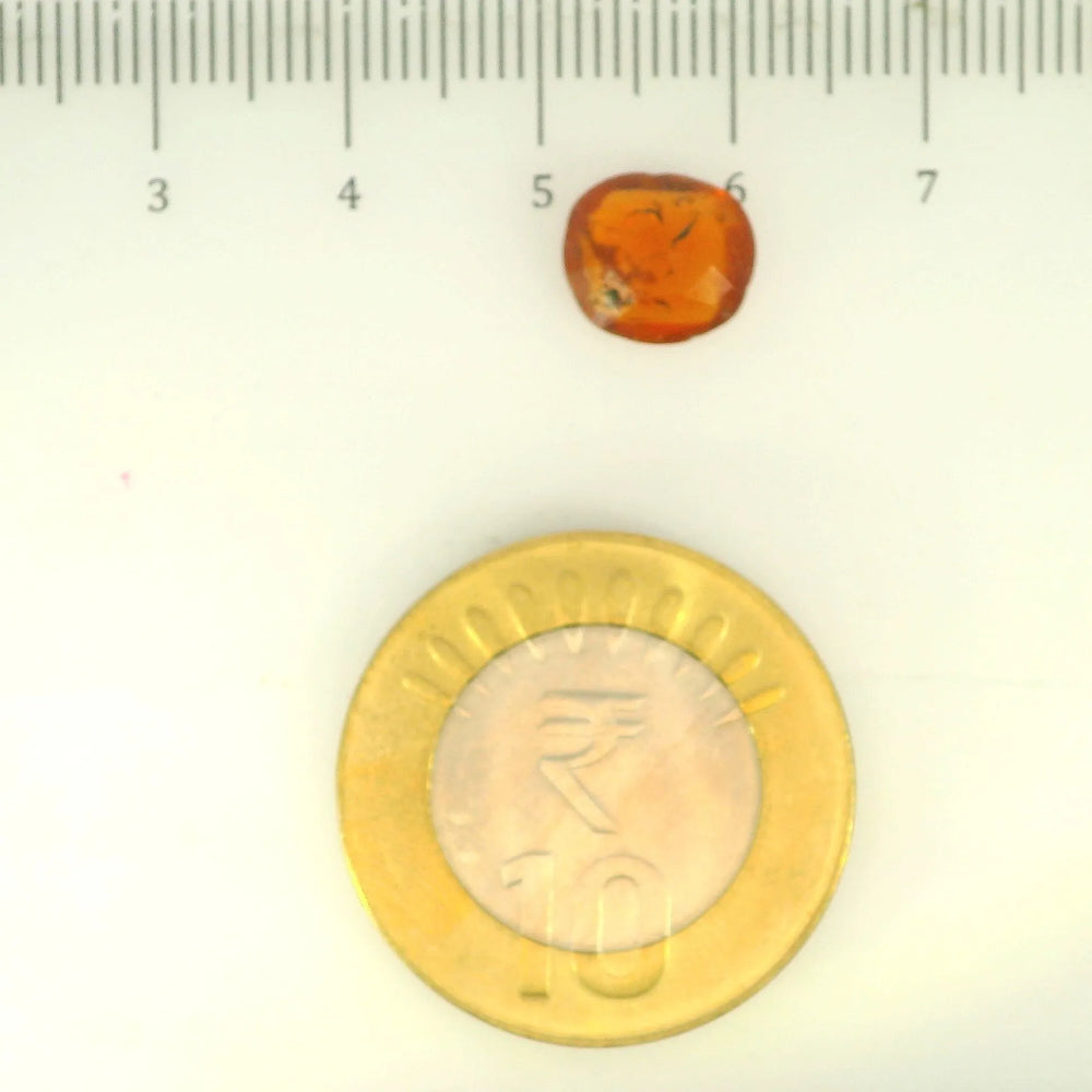 ITLGR_104180_SCALE.webp