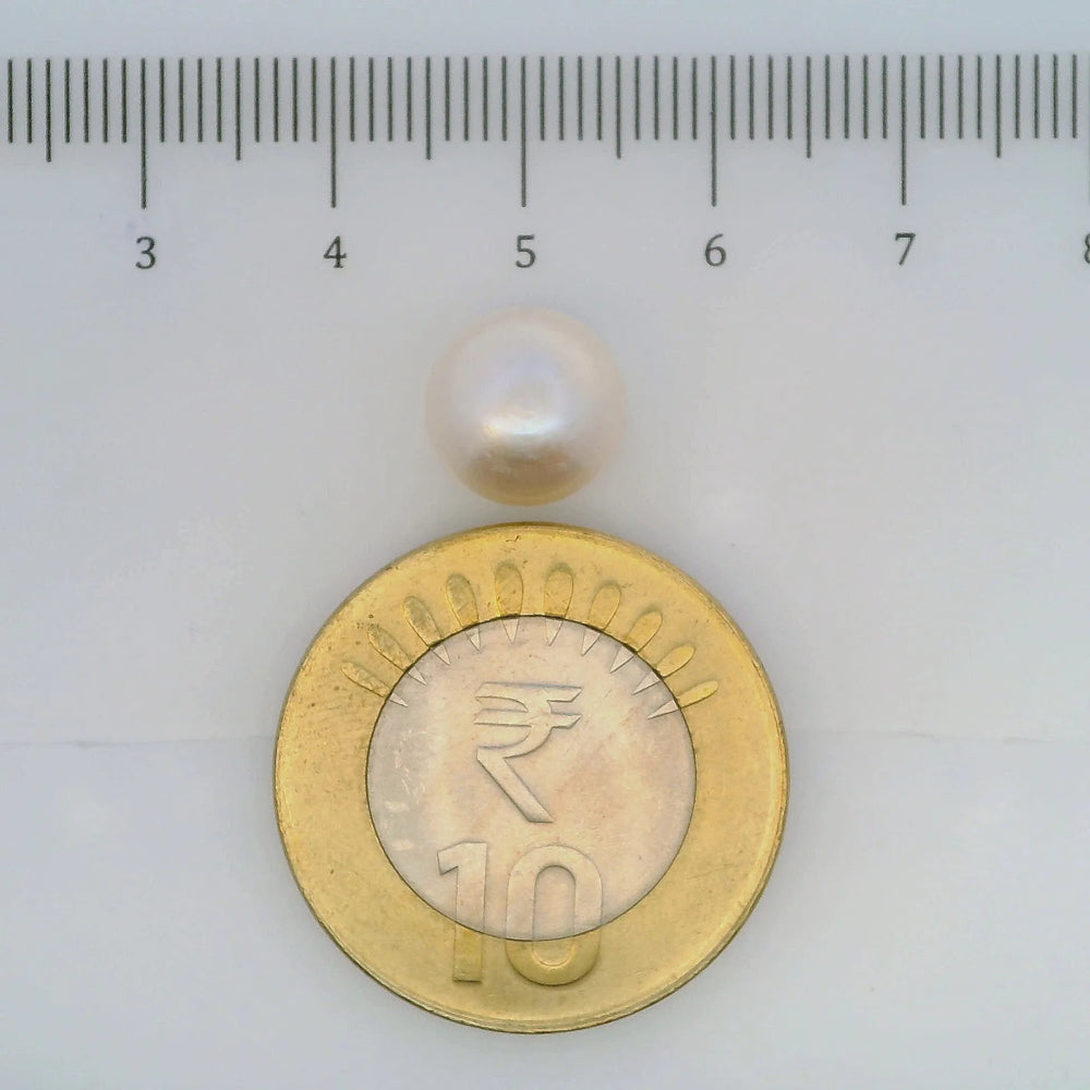 ITLGR_107024_SCALE.webp