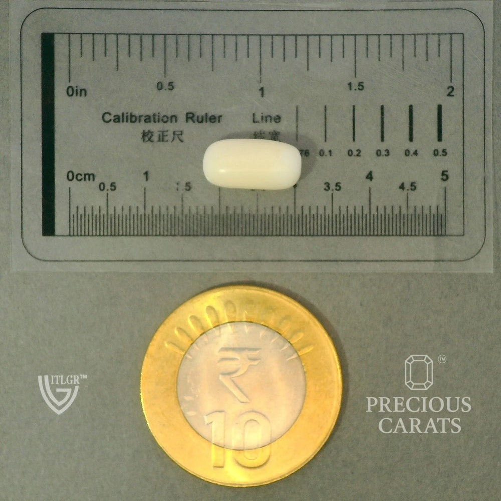 ITLGR_102034_SCALE.webp