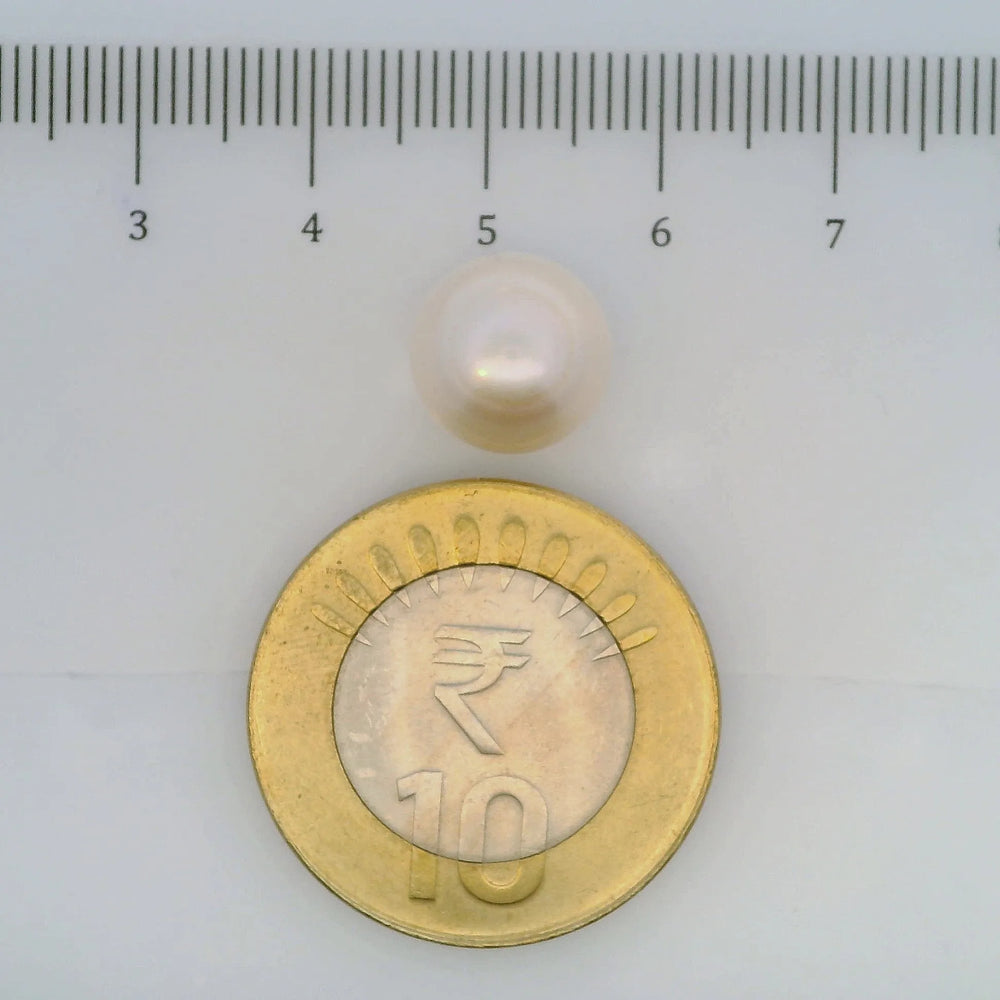 ITLGR_106965_SCALE.webp