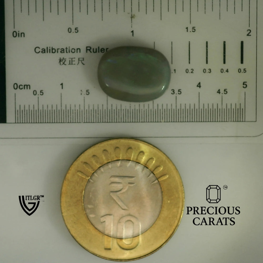 ITLGR_101939_SCALE.webp