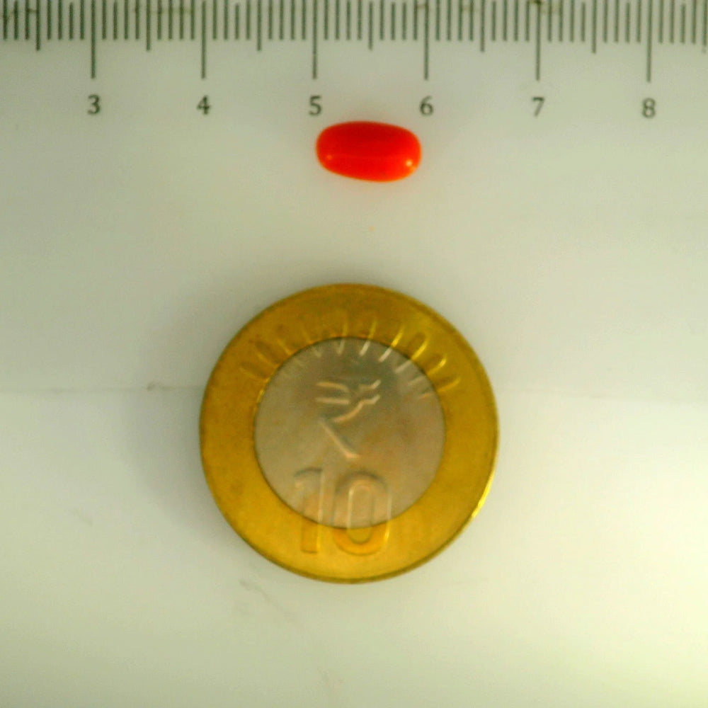 ITLGR_107159_SCALE.webp