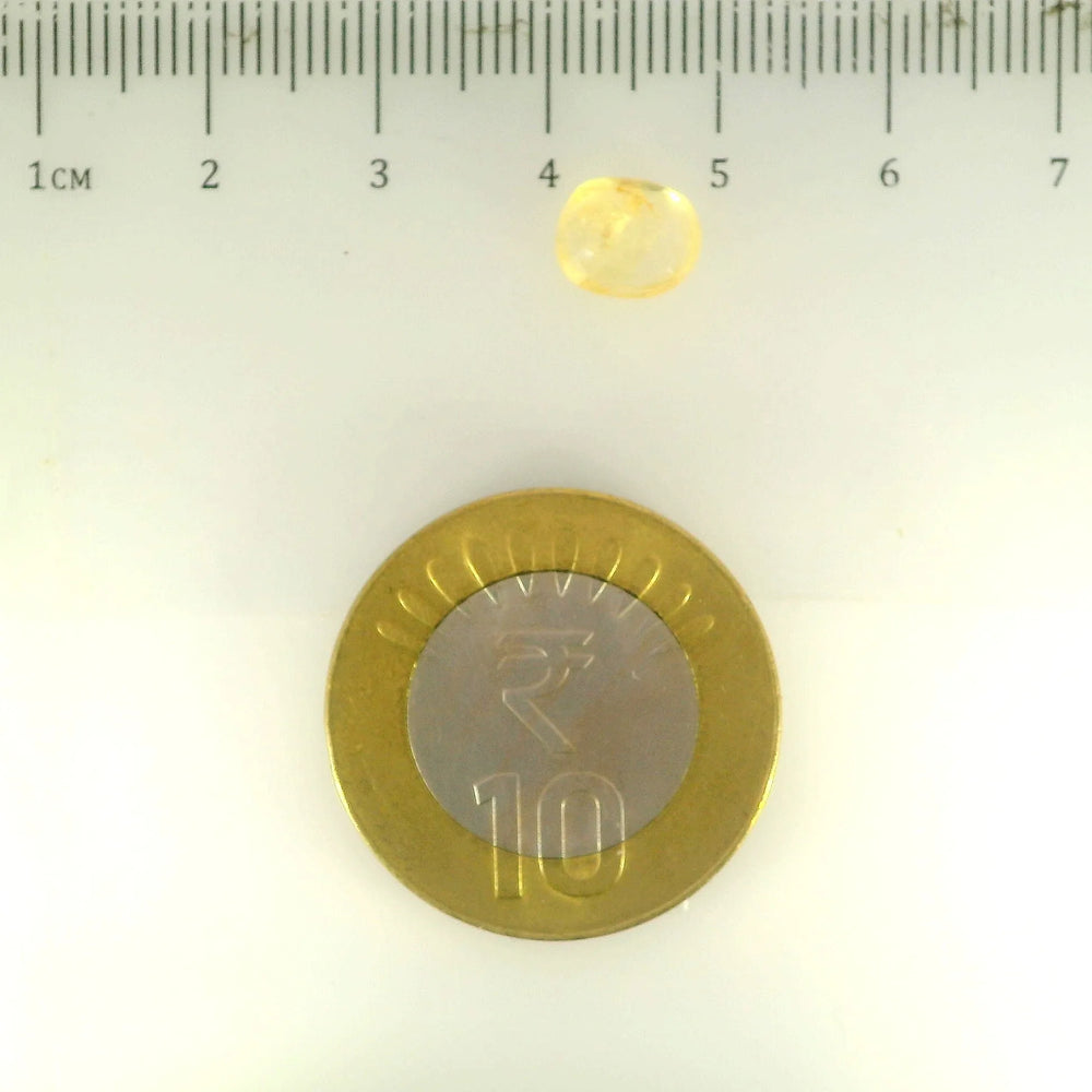 ITLGR_104975_SCALE.webp