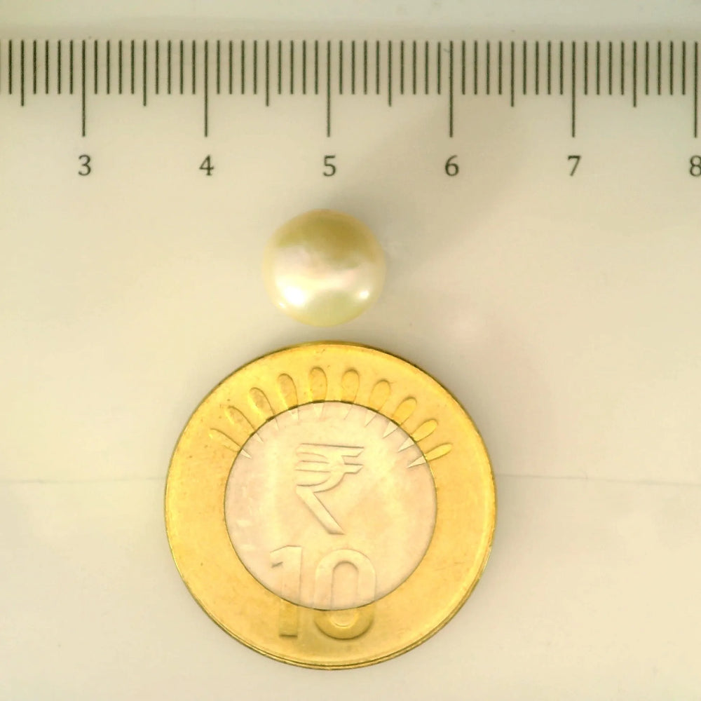ITLGR_107008_SCALE.webp
