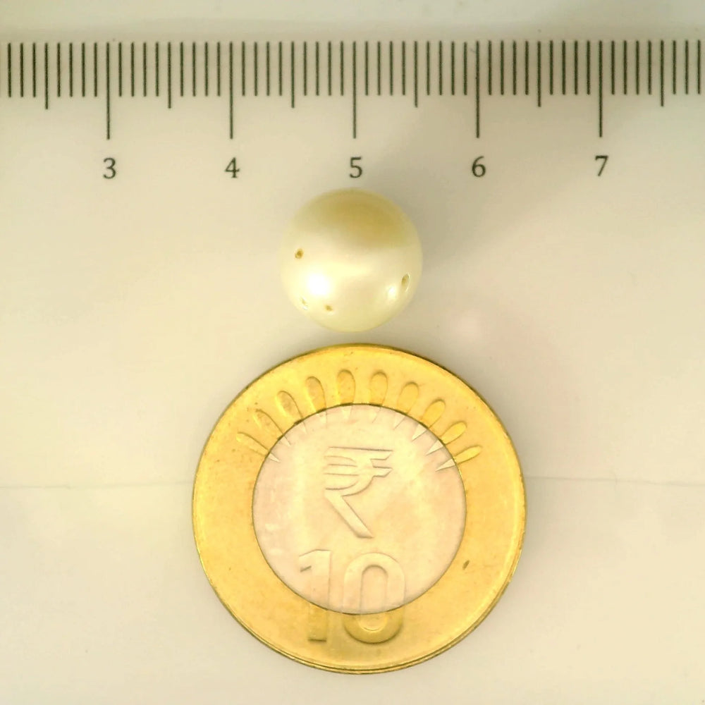 ITLGR_106906_SCALE.webp