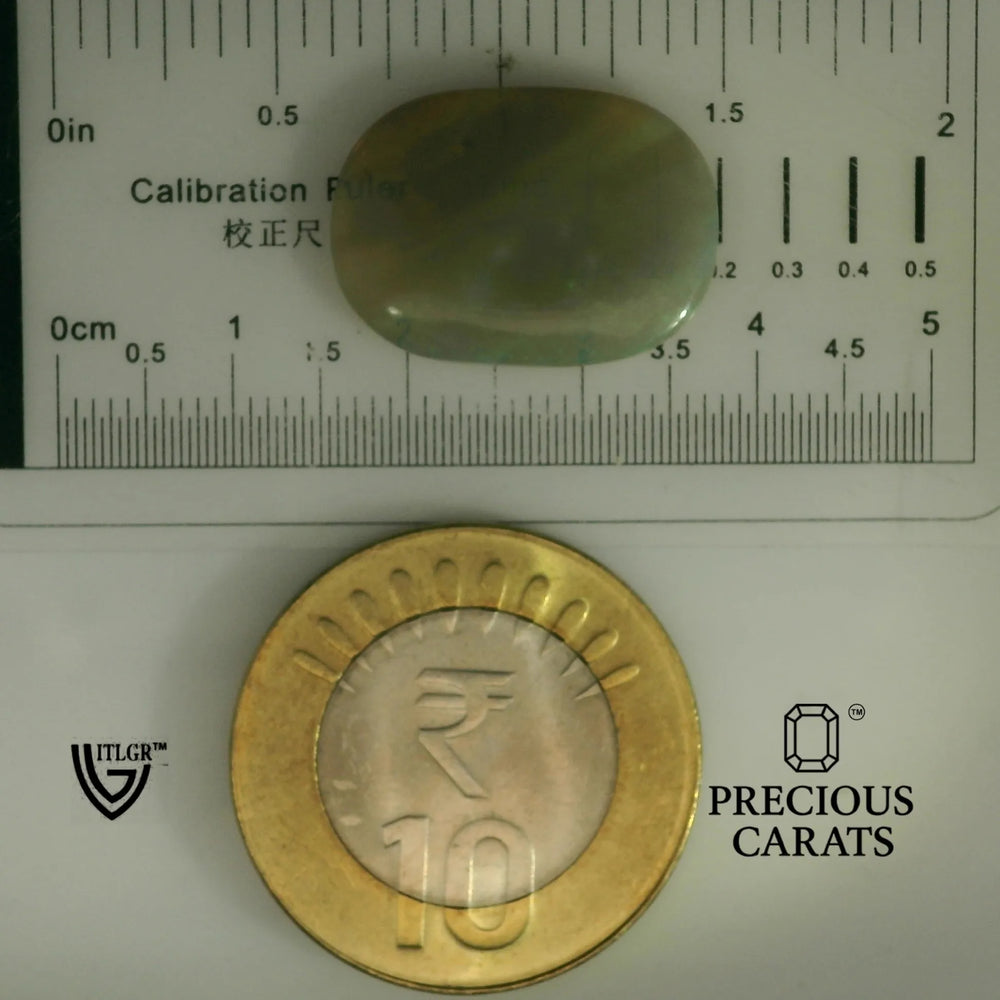 ITLGR_101947_SCALE.webp
