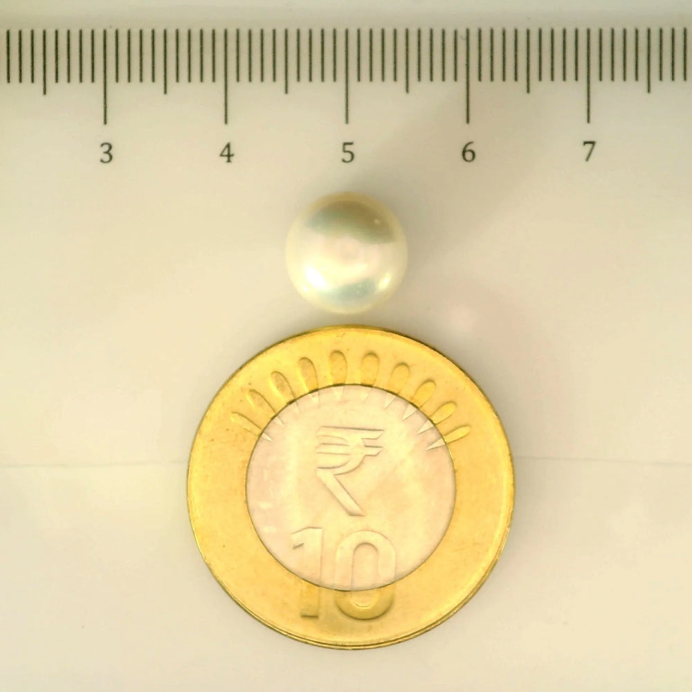 ITLGR_106986_SCALE.webp