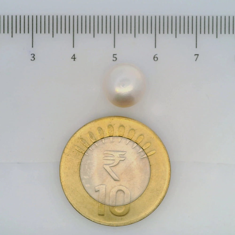 ITLGR_106976_SCALE.webp