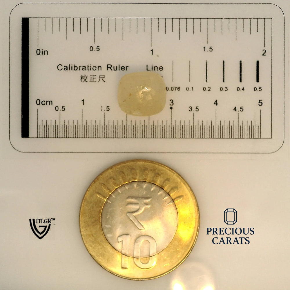 ITLGR_98972_SCALE.webp