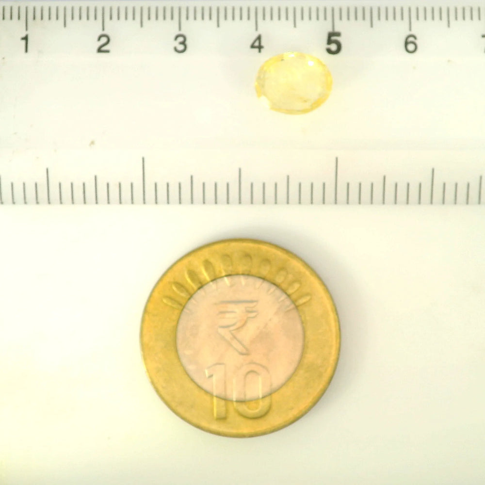 IIGJ_12879D53004_SCALE.webp