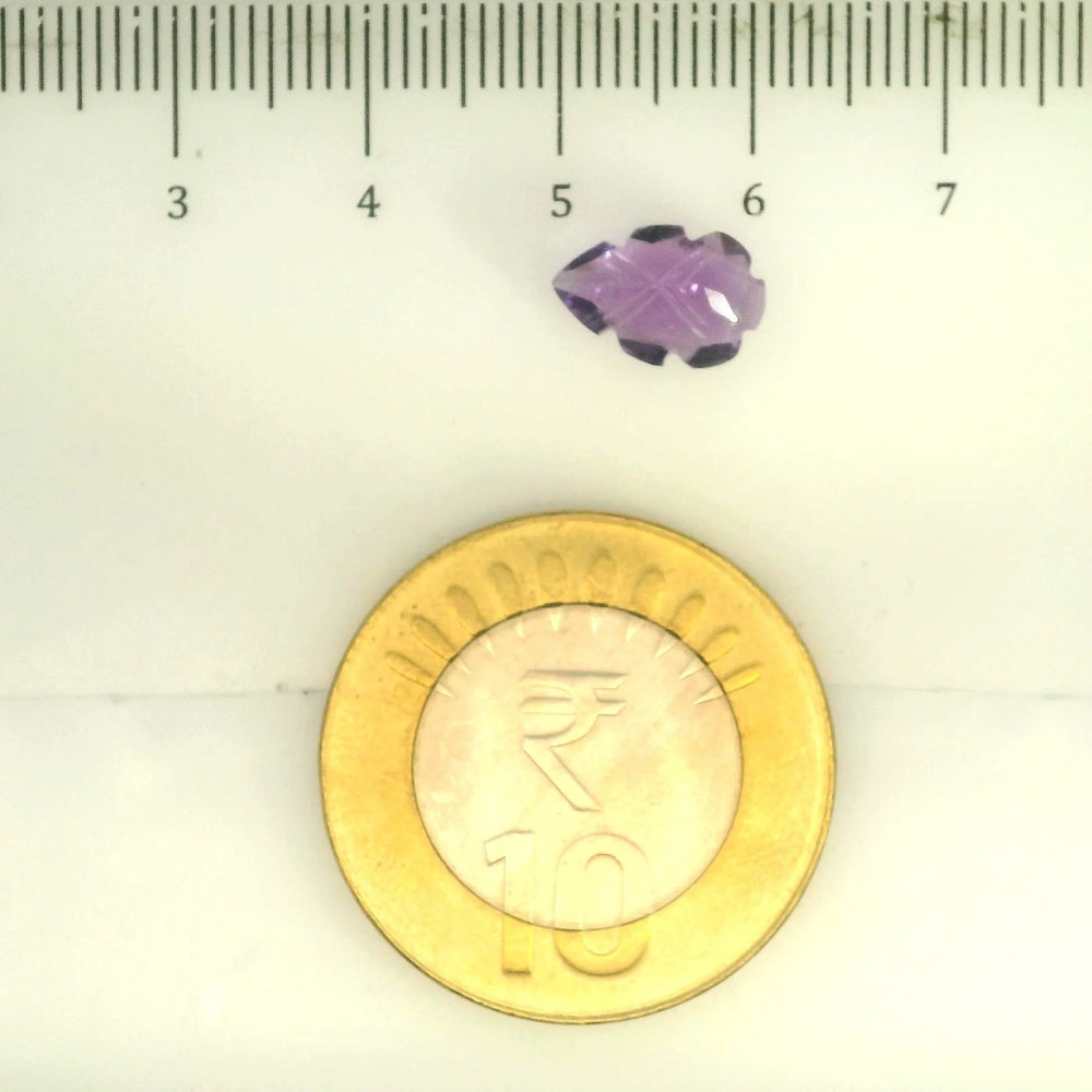 ITLGR_109451_SCALE.webp