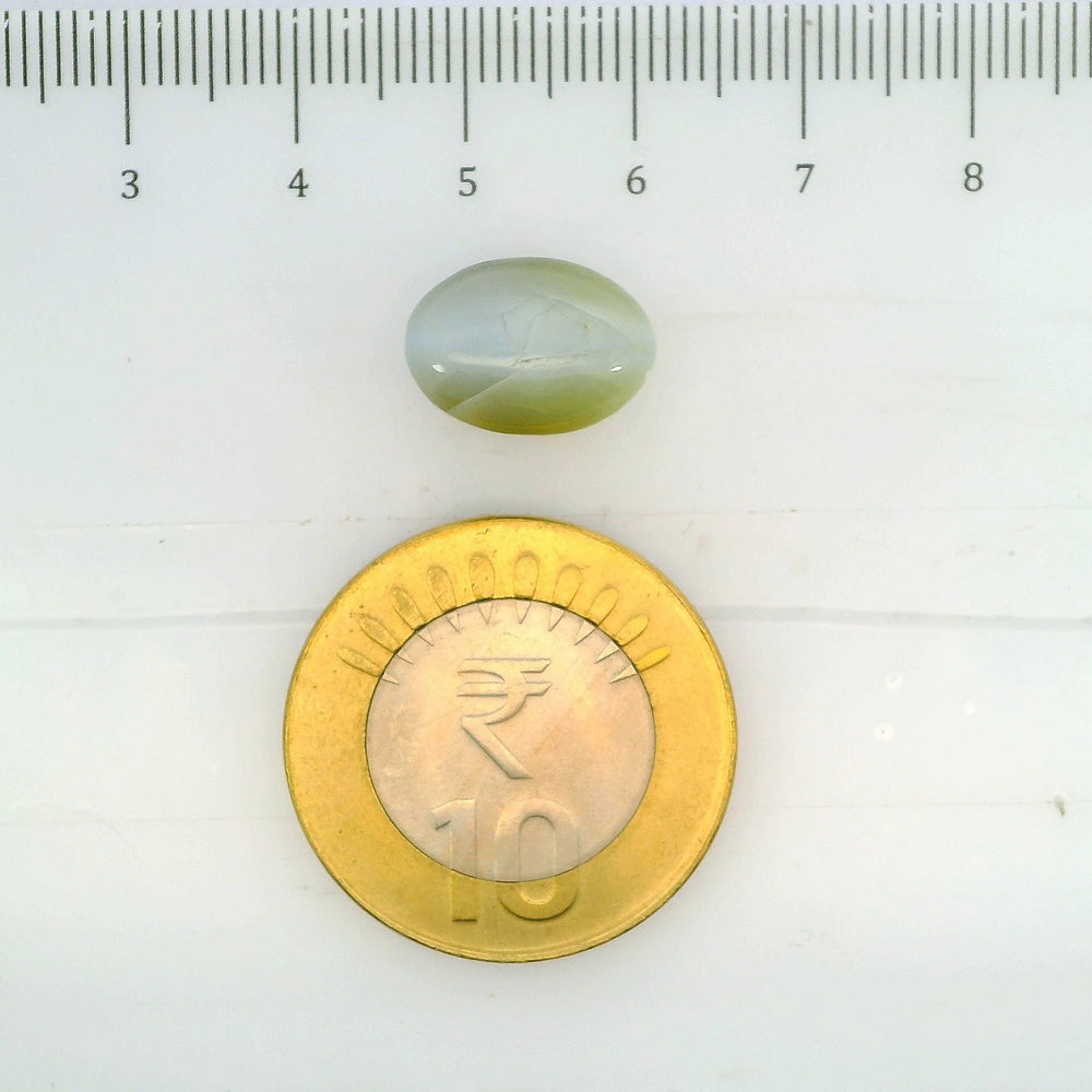 ITLGR_109781_SCALE.webp