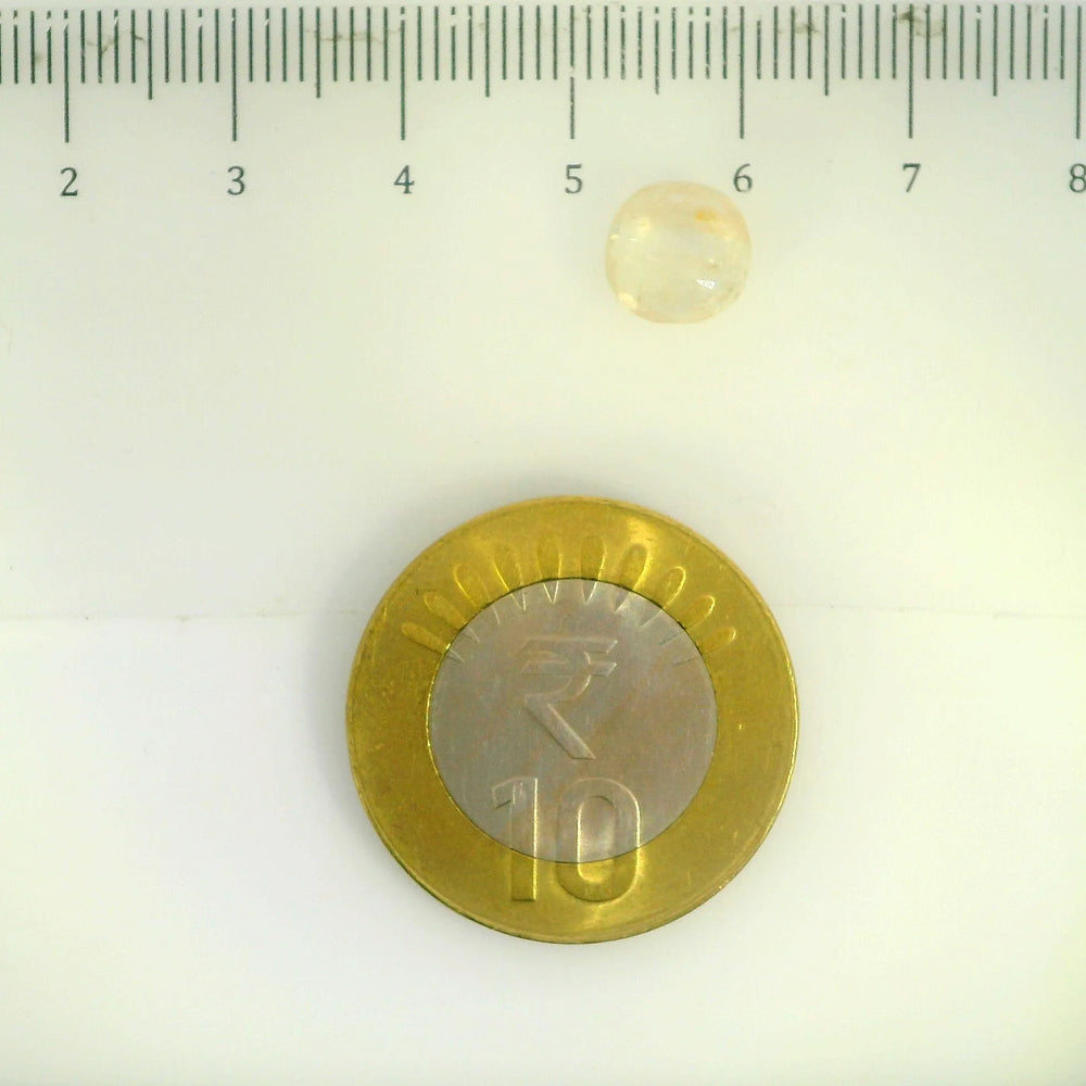 IGITL_200285_SCALE.webp