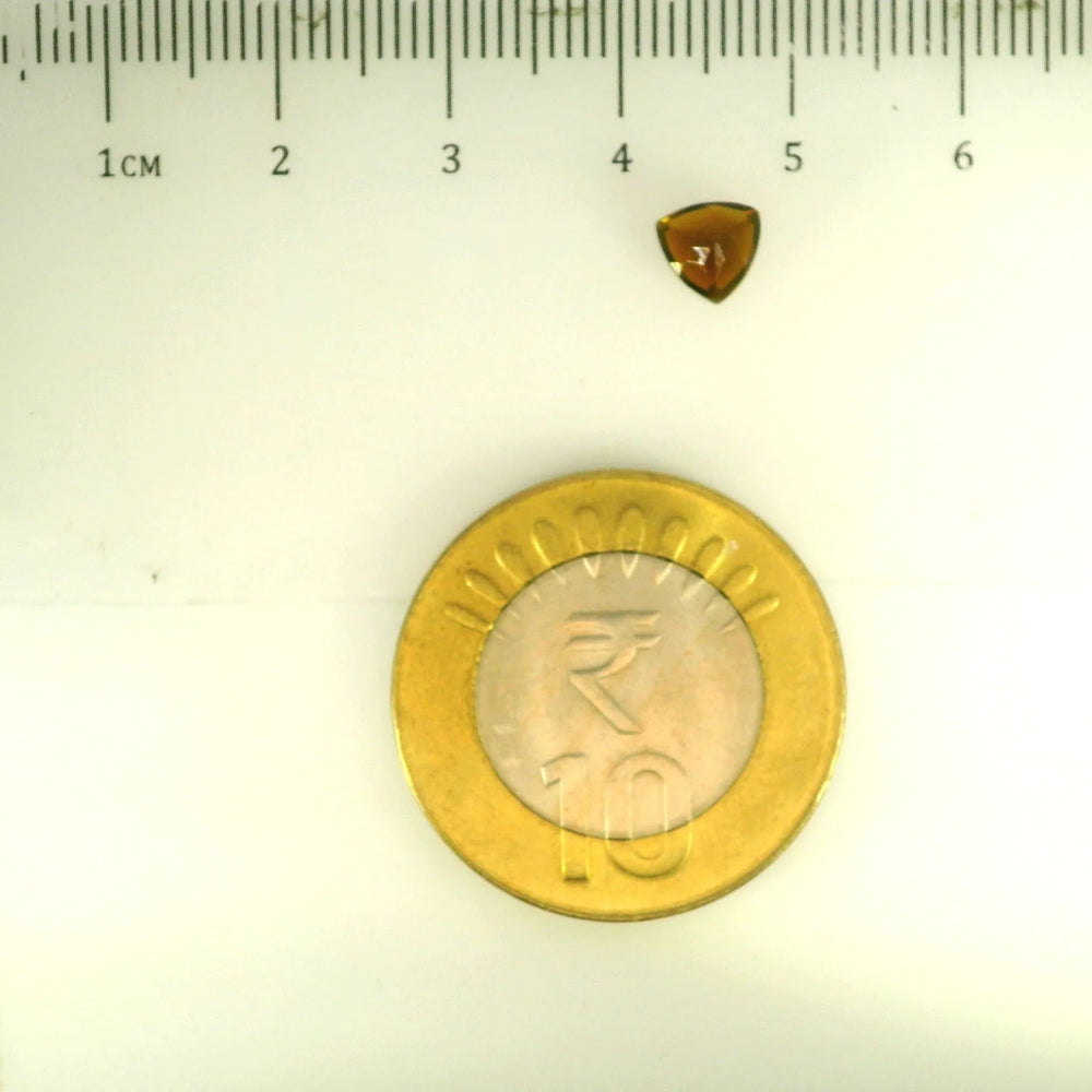 ITLGR_113304_SCALE.webp