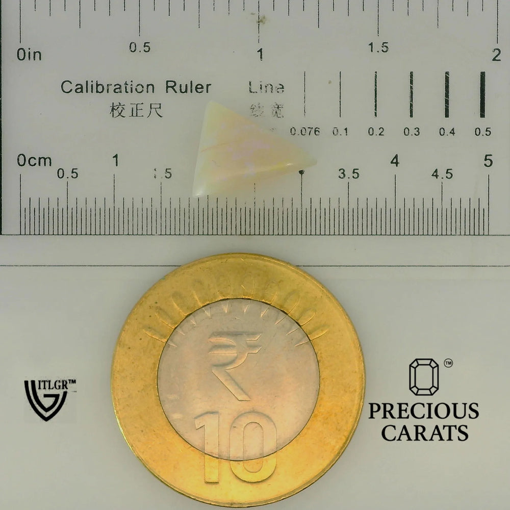 ITLGR_101931_SCALE.webp