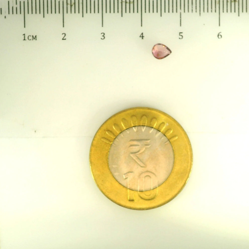 ITLGR_113305_SCALE.webp