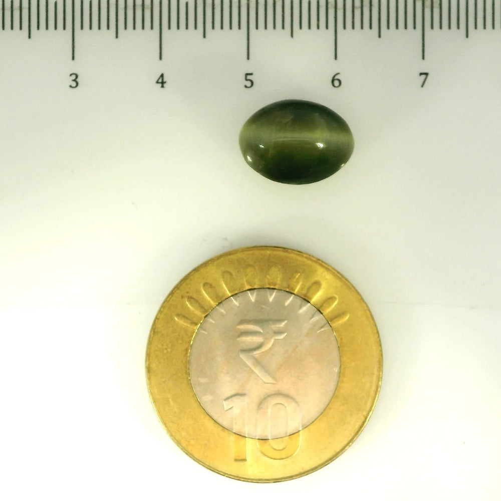 ITLGR_107072_SCALE.webp