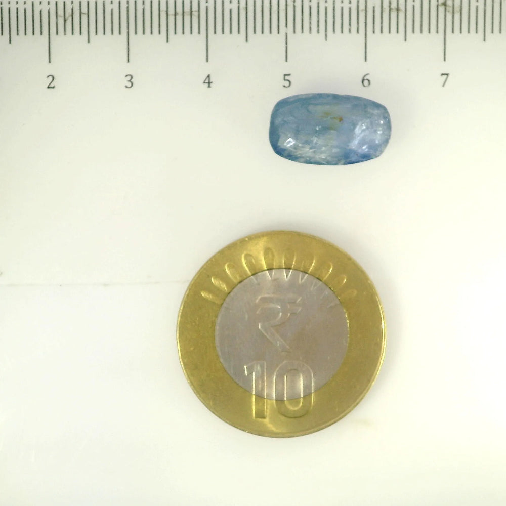 IGITL_205596_SCALE.webp