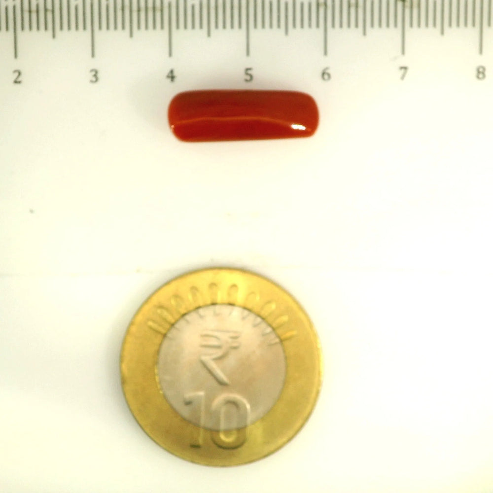 ITLGR_112830_SCALE.webp