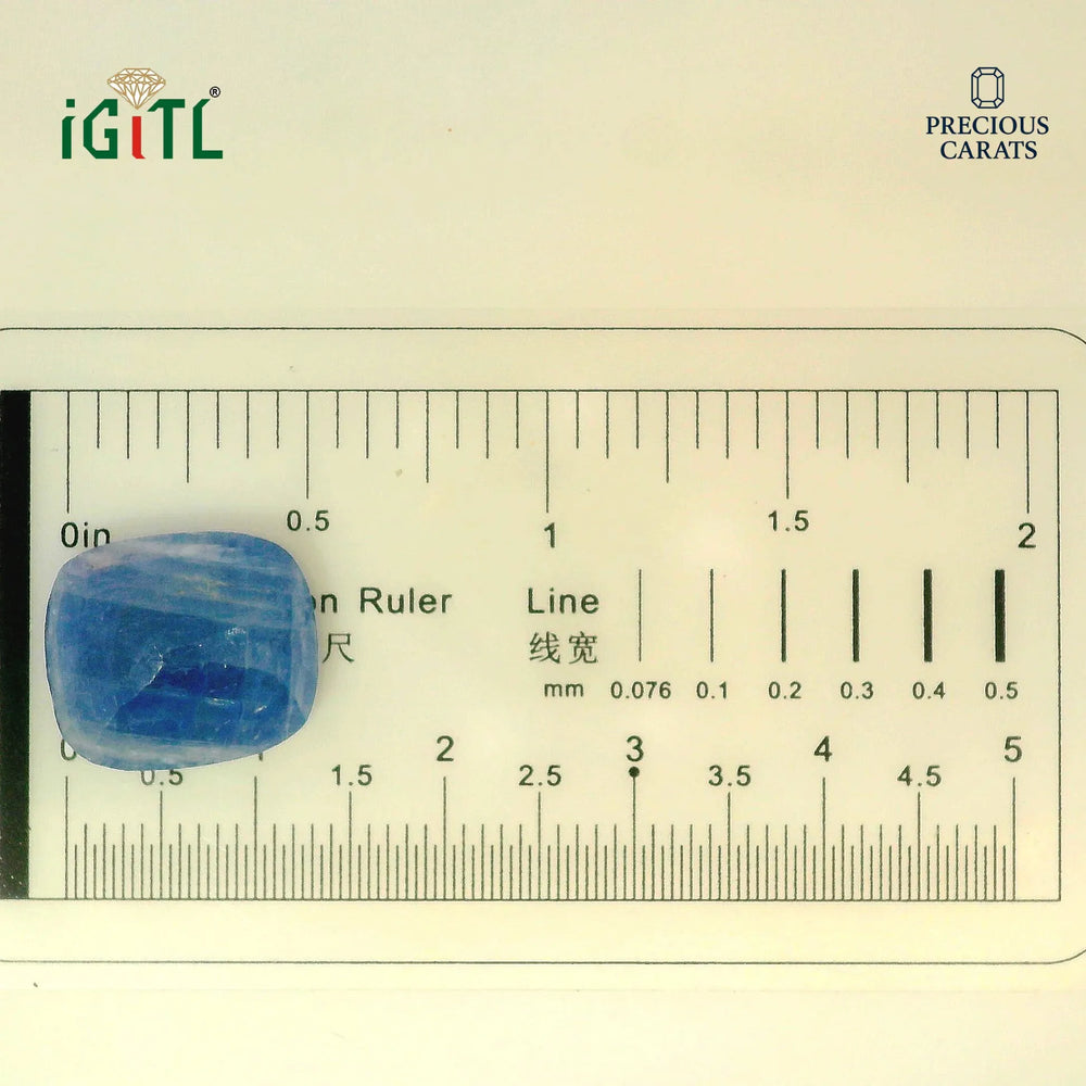 IGITL_194680_SCALE.webp