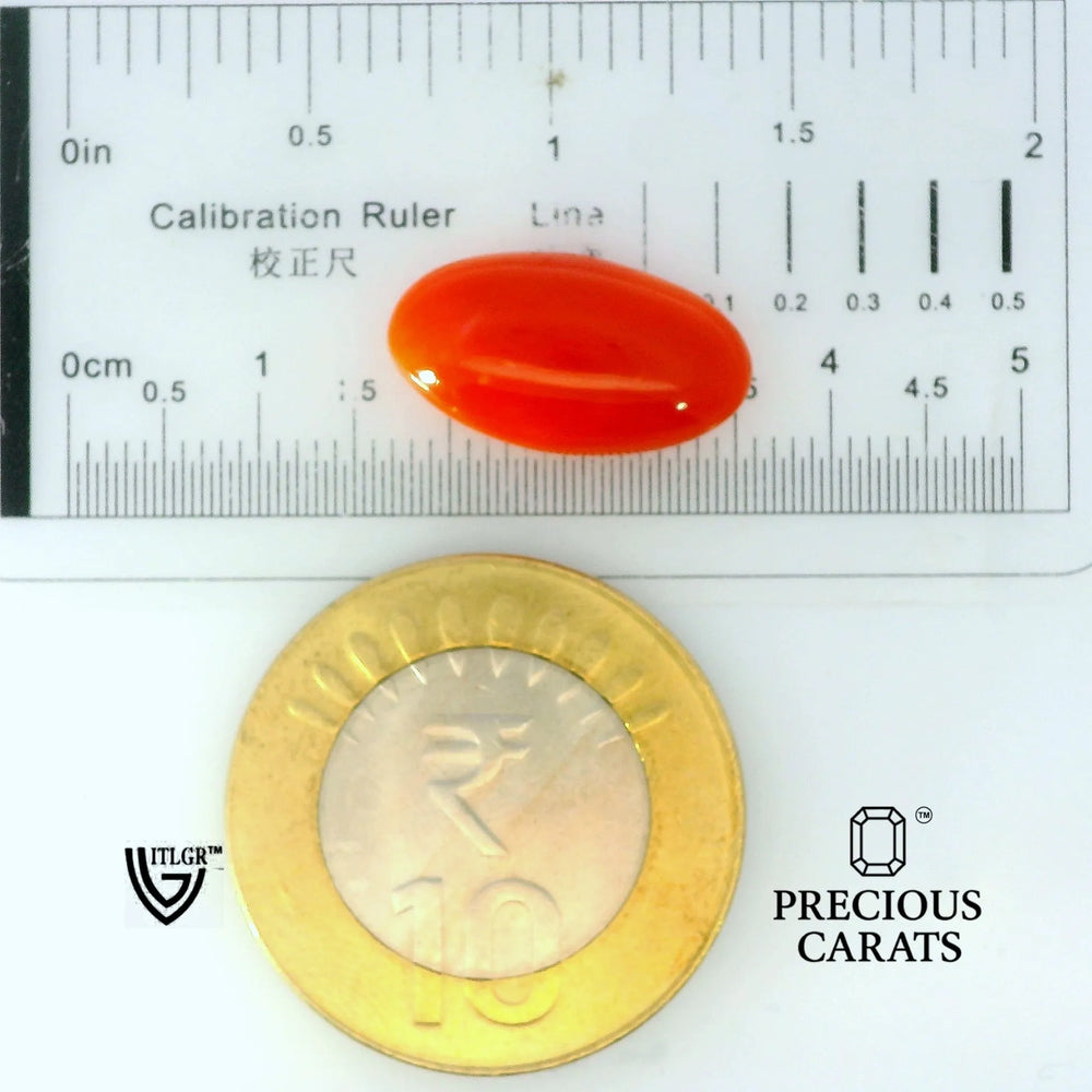 ITLGR_105287_SCALE.webp