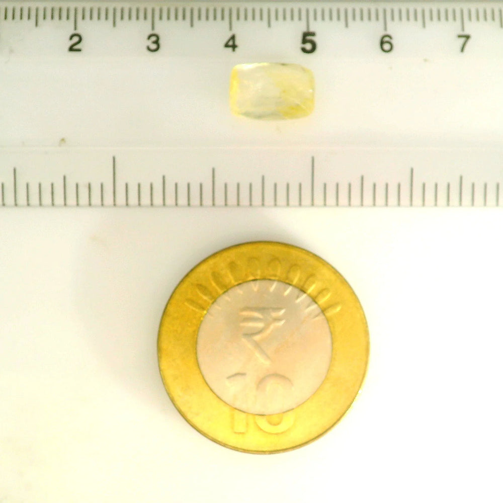 IGITL_211668_SCALE.webp